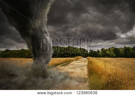 Large Tornado Disaster