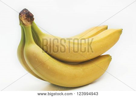Branch green bananas in water drops isolated on a white background.