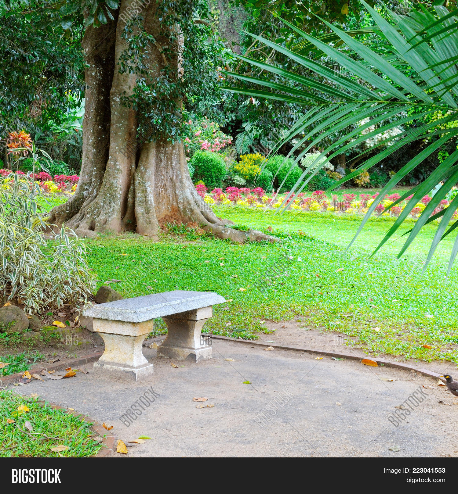 Image Preview