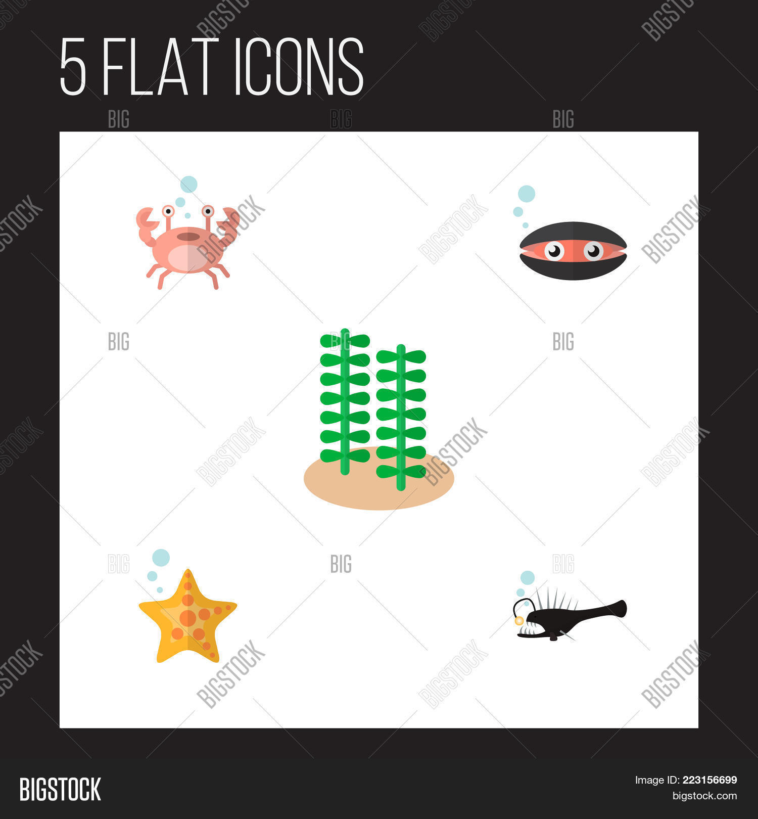 Image Preview