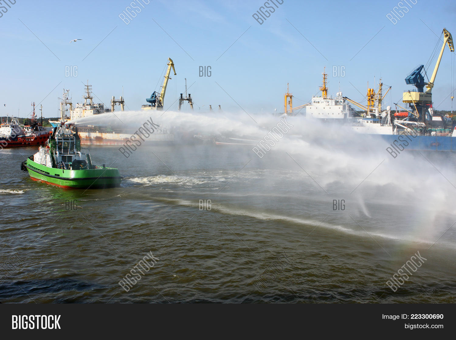 Image Preview