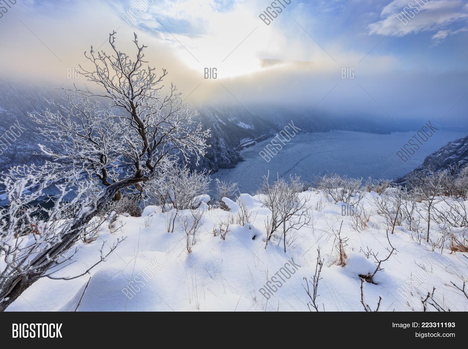 Image Preview