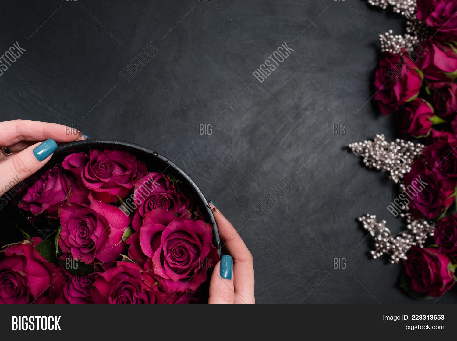 Image Preview