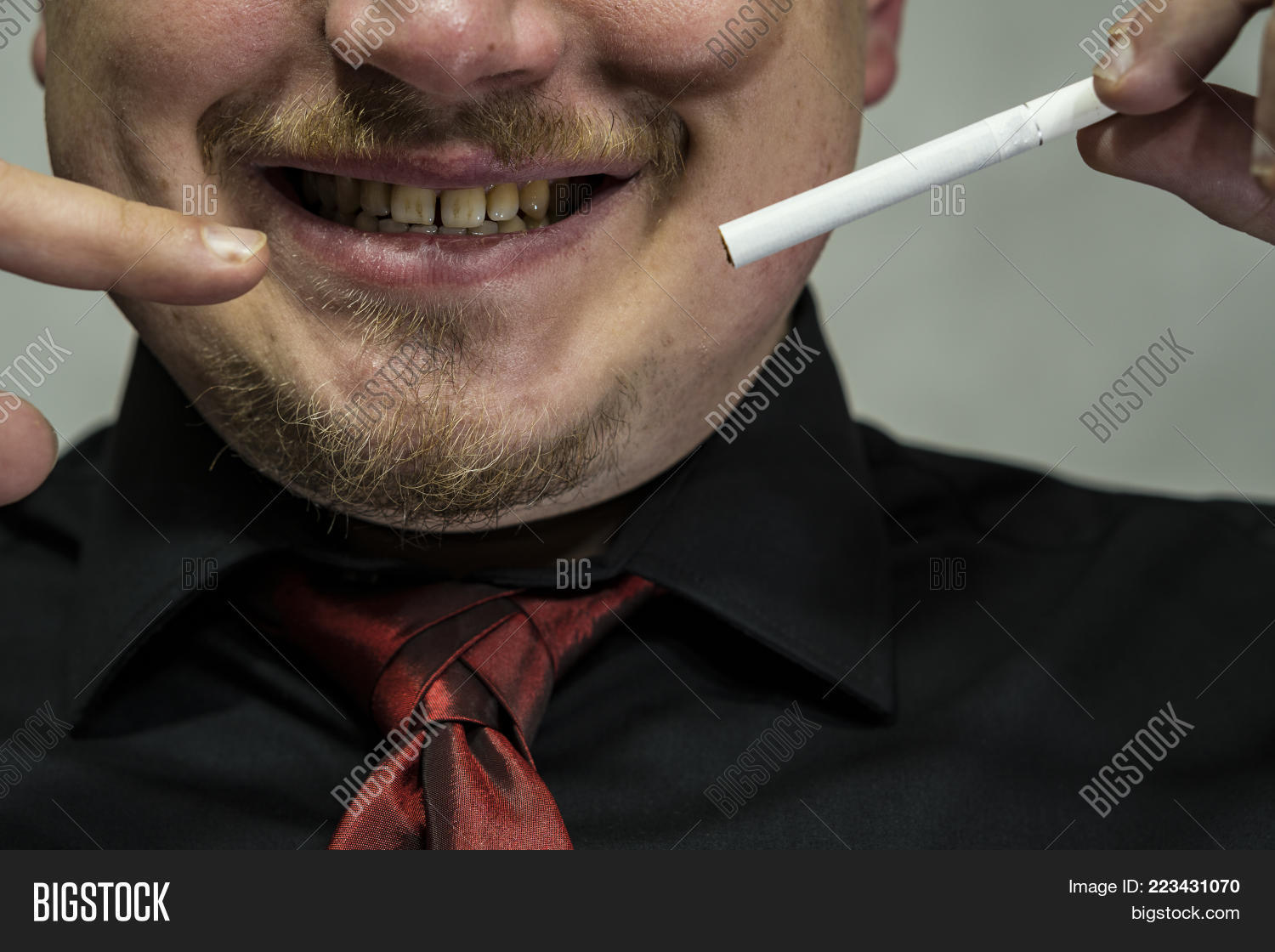 do cigarettes contain cat absolute Catvertising