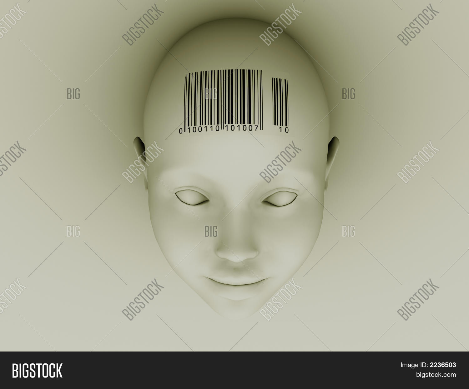 Image Preview