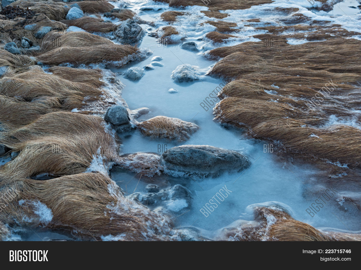 Image Preview