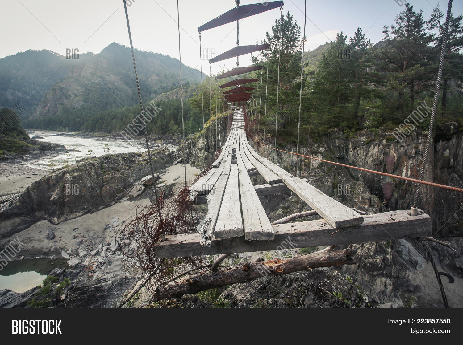 Image Preview