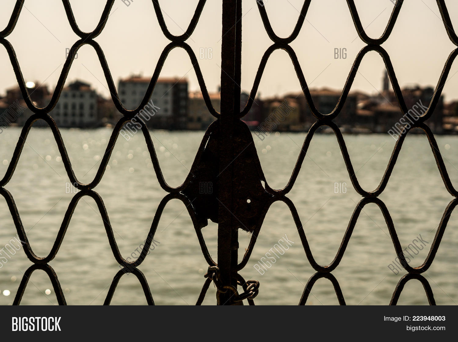 Image Preview