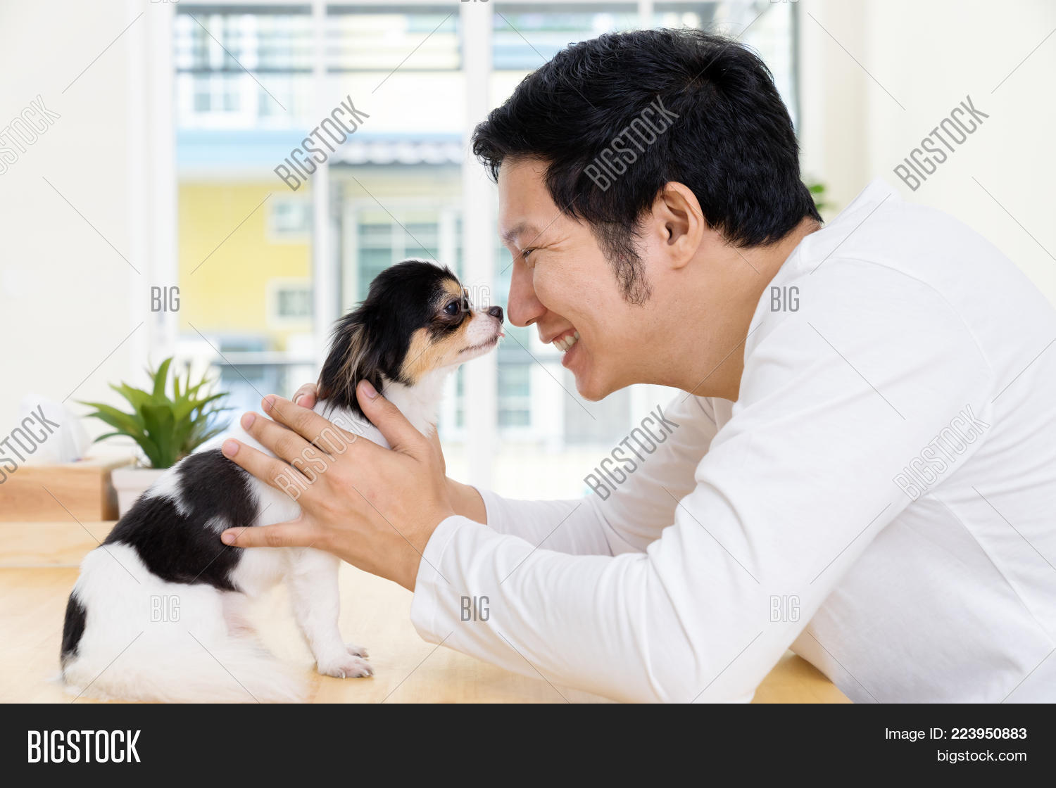 Image Preview