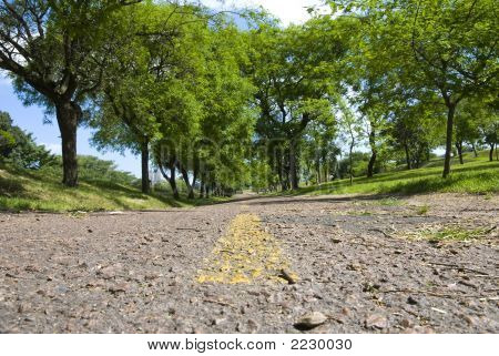 Green Lane