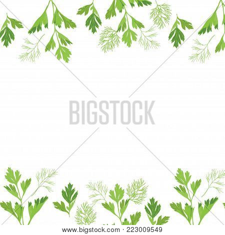 Frame With Parsley And Dill