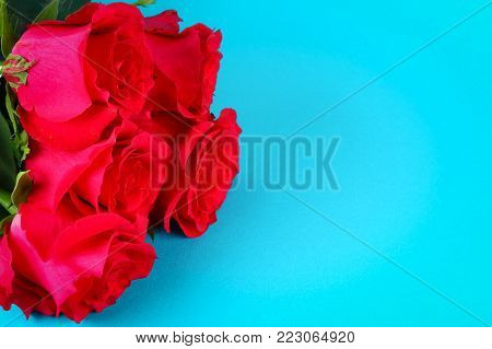 Pink roses on a blue background, on pastel paper. Copy space for text. Template for March 8, Mother's Day