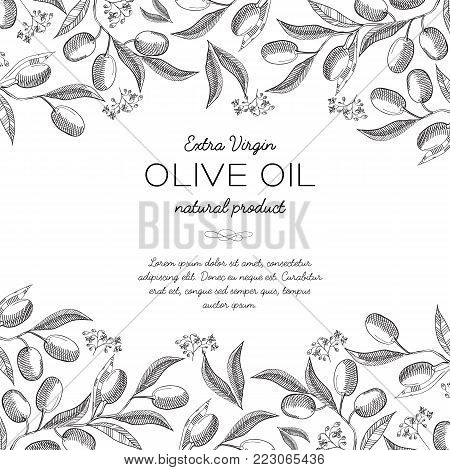Upper and under horizontal elegant ornament engraving olive bunches border and beautiful berries hand drawn sketch vector illustration