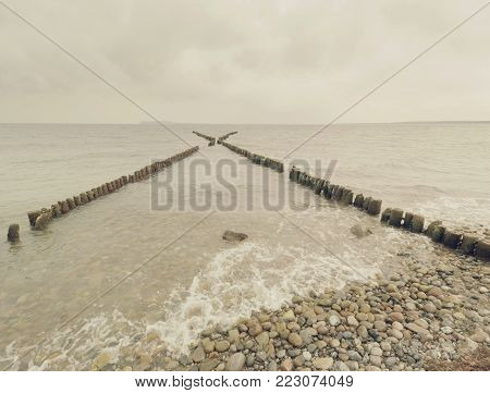 The row of old wooden piles as  breakwater in front of the stony beach,  typical at the baltic sea