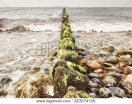 Old wooden breakwater and waves. Cold rainy weather at Baltic Sea . Stony beach