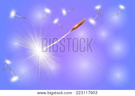 an abstract blue background with flying seeds, dandelion umbrellas. Copyspase