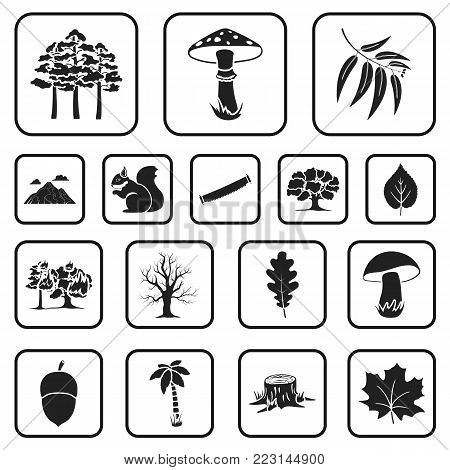 Forest and nature black icons in set collection for design. Forest life vector symbol stock  illustration.