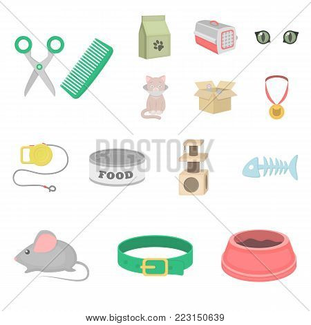 An animal cat cartoon icons in set collection for design. Caring for a cat vector symbol stock  illustration.