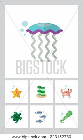 Icon flat marine set of alga, turtle, jellyfish and other vector objects. Also includes sea, crab, spirulina elements.