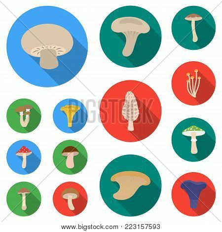 Poisonous and edible mushroom flat icons in set collection for design. Different types of mushrooms vector symbol stock  illustration.