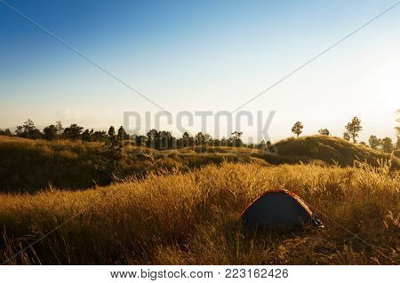 outdoors camping grass highlands mountain in the Sunset.