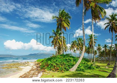 stunning picturesque scenic beautiful Caribbean landscape, Dominican Republic. Sea, palms, blue sky