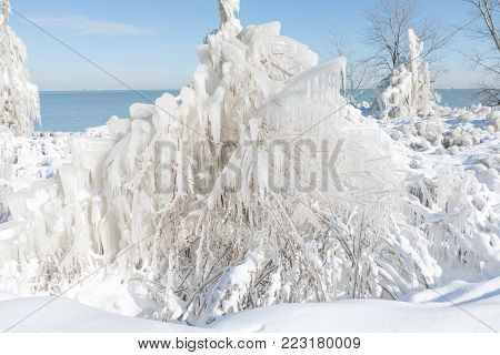 Frozen trees covered in ice by the lake Michigan in Chicago downtown