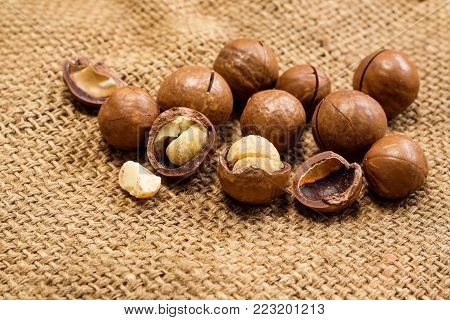 Organic Macadamia nut on hemp sack background, Macadamia integrifolia
