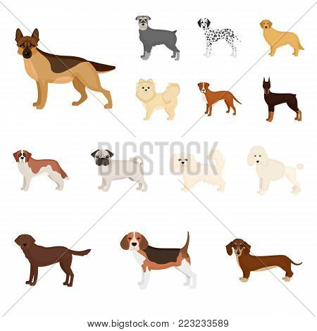 Dog breeds cartoon icons in set collection for design.Dog pet vector symbol stock  illustration.
