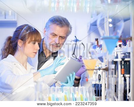Scientists researching in scientific laboratory. Young female scientist and her senior male supervisor looking at the cell colony grown in the petri dish in the life science research laboratory.