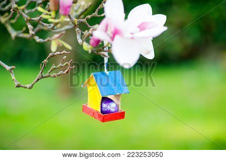 Closeup of colorful Easter egg in bird house on blooming magnolia tree. Traditional symbol for christian and catholic holiday. Purple egg for traditon hunt for children on Easter holiday