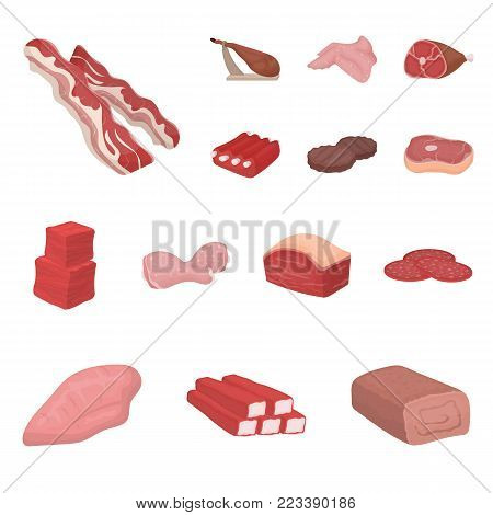 Different meat cartoon icons in set collection for design. Meat product vector symbol stock  illustration.