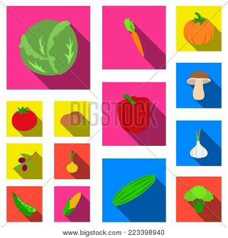 Different kinds of vegetables flat icons in set collection for design. Vegetables and vitamins vector symbol stock  illustration.