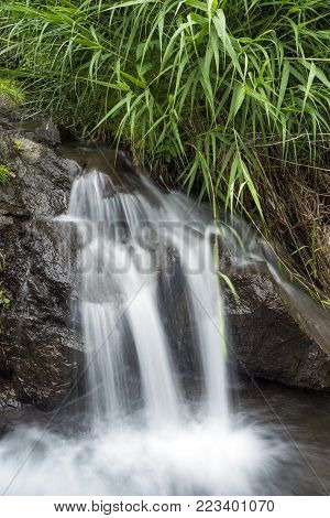 White thread like lines spring water under green plants
