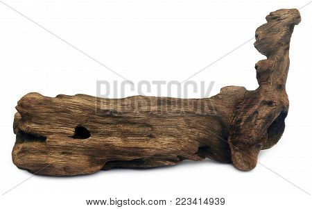 Closeup Of Decorative Bogwood Sculpture Over White Background