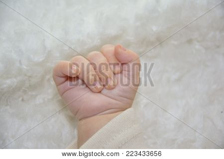 small hand of a newborn baby on a white background
