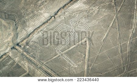 Nazca, Peru - August 2017: The Spider figure as seen in the Nasca Lines