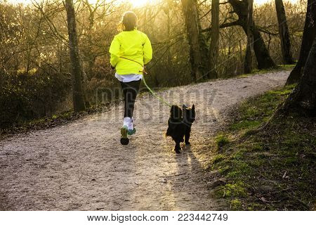 The woman does a jogging together with her dog on a leash. They ran along the path between the trees to meet the sun.