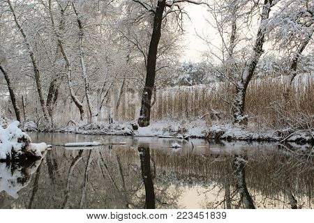 Calm River Running Through Misty Fields