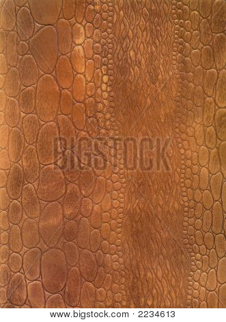 HQ Krokodil Haut Leder Textur Hintergrundmuster