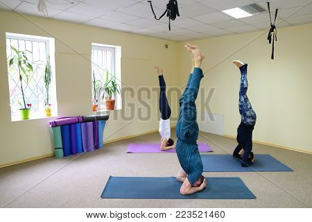 Two women and men of American appearance engaged in yoga, people sit on floor on fitness rugs and perform stretching exercises. Room light and spacious, walls of pleasant light color, on windowsills pots with flowers. Concept of maintain body in good phys