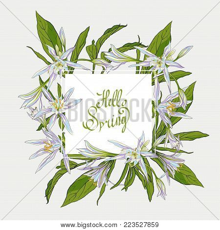 Hand Drawn Flowers Lilies Isolated vector illustration in line art style. square frame, hello spring Template card, invitation, banner, design element.