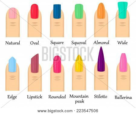 Colorful collection of fingernails with different shape