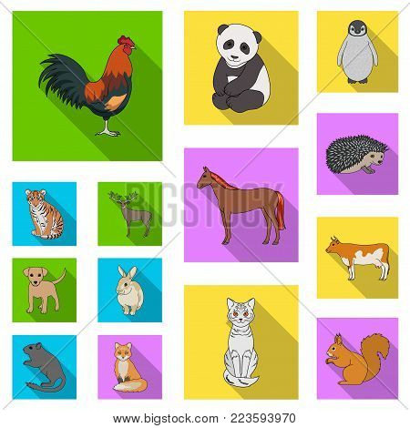 Realistic animals flat icons in set collection for design. Wild and domestic animals vector symbol stock  illustration.