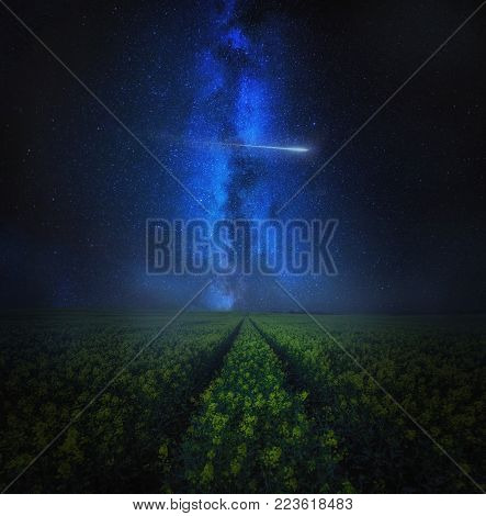 Starry sky with meteor over blooming rape seed field, fine art landscape. Dreamy landscape