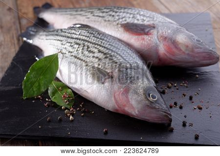 Raw sunshine bass fish with spices on a table