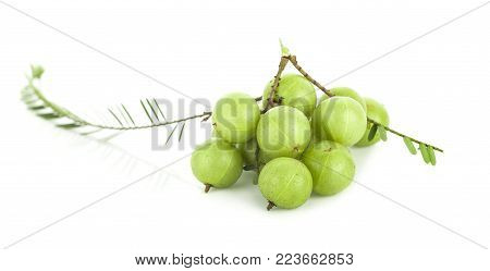 Indian gooseberry an  isolated on white background