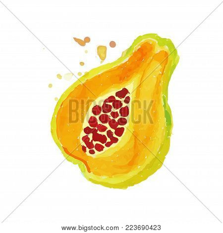 Bright watercolor painting of piece papaya pawpaw . Tropical fruit concept. Vegetarian nutrition. Organic and tasty food. Design for label or emblem. Hand drawn vector illustration isolated on white.