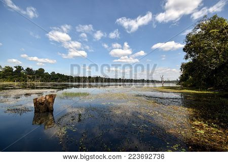 plants reflecting in lake at neak pean temple, angkor archaeological park, cambodia