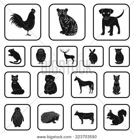 Realistic animals black icons in set collection for design. Wild and domestic animals vector symbol stock  illustration.